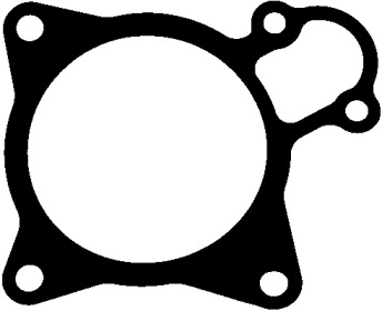 Прокладка помпи води Citroen Jumper/Fiat Ducato/Peugeot Boxer 3.0 HDi 06- ELRING 369.930