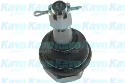Опора кульова (передня/знизу) Nissan Navara 2.5 TD 98-07 KAVO PARTS SBJ-6501