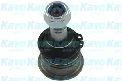 Опора кульова (передня/знизу) Nissan Primera/Sunny 86-02/Almera II 00- KAVO PARTS SBJ-6508