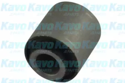 Сайлентблок важеля (заднього) Hyundai Tucson 2.0 04-10/Kia Sportage 2.0 04- (поперечного) KAVO PARTS SCR-4087