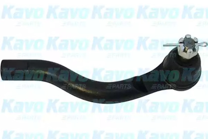 Шарнир KAVO PARTS STE-5539