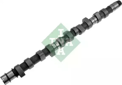 Розподільчий вал INA 428 0066 10
