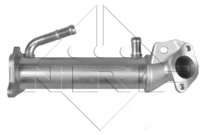 Радіатор рециркуляції ВГ Ford Transit V363/Ranger 2.2 TDCI 11- NRF 48014
