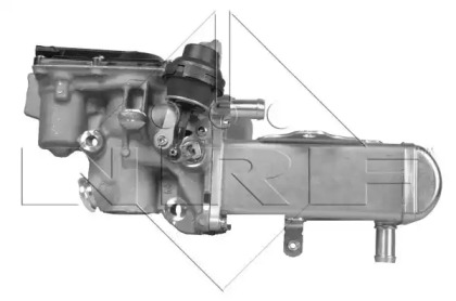 Радіатор рециркуляції ВГ з клапаном EGR Renault Megane III/Scenic III 1.9dCi 08- NRF 48207