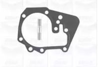 Помпа води Renault Kangoo/Megane/Logan/Scenic/Dacia Sandero 1.4/1.6 97- (20z)(B/B)(8лоп) GRAF PA1035 — фото 2