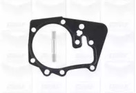 Помпа води Renault Clio/Megane/Scenic/Kangoo/Laguna 1.4/1.6i 01-/Nissan Almera (20z)(R/B)(8 лоп) HD GRAF PA1043 — фото 2