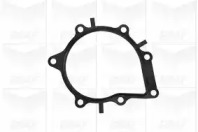 Помпа води Citroen C4-C8/Jumper/Peugeot 308/407/Ford Focus 2.0-2.2HDi/D/TDCi 06- (19z) (B/B)(8 лоп) GRAF PA1049 — фото 2