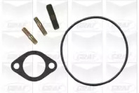 Помпа води Fiat Ducato 2.5D/TD 82-94 (14-18Q) (R/B) (8 лоп.) GRAF PA454 — фото 2