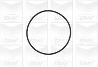 Помпа води Opel Astra F/G/H/Omega B/Vectra A/B/Zafira A/B 1.8i/2.0i/2.2i/2.4 94- (25z) (R/B) (8 лоп) GRAF PA572A — фото 2