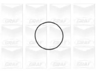 Помпа води Chevrolet Aveo/Lacetti 1.4/1.6 03-/Daewoo Nubira 1.6 16V 97- (19z) (R/B) (7 лоп.) GRAF PA696 — фото 2