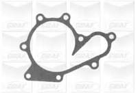 Помпа води Nissan X-Trail/Almera/Primera 2.2dCi/Di 00- (R/B) (8 лоп) GRAF PA823 — фото 2