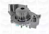 Помпа води Citroen C4-C8/Jumpy 2.0-2.2HDi/Fiat Scudo 2.0D/Ford Focus 2.0TDCI 01- (19z)(B/B)(8лоп) GRAF PA861