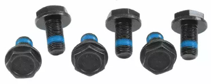 Комплект болтов Sachs 3096 005 000