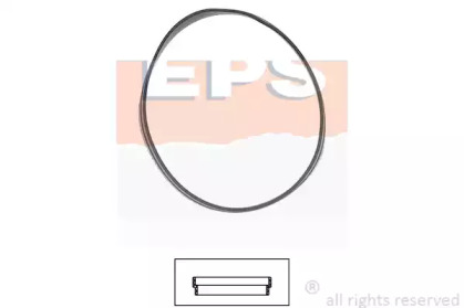Прокладка термостата BMW 3 (E36/E46)/5 (E34) 93-05 EPS 1.890.631