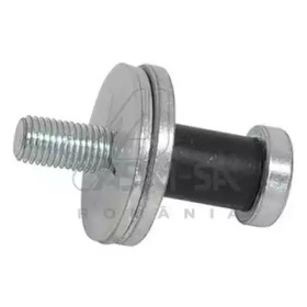 Болт двері ASAM 30587