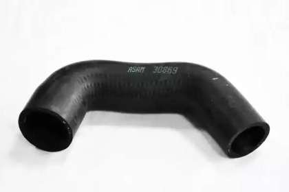 Патрубок ASAM 30869