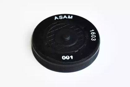 Заглушка ГБЦ ASAM 32975