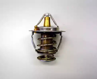 Термостат Wahler 410176.88D0