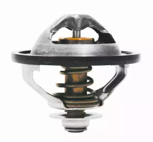 Термостат Wahler 4417.81D