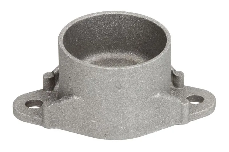 Опора заднього амортизатора Raiso — Ford Fiesta, Ford Fusion, Mazda 2 RC09202