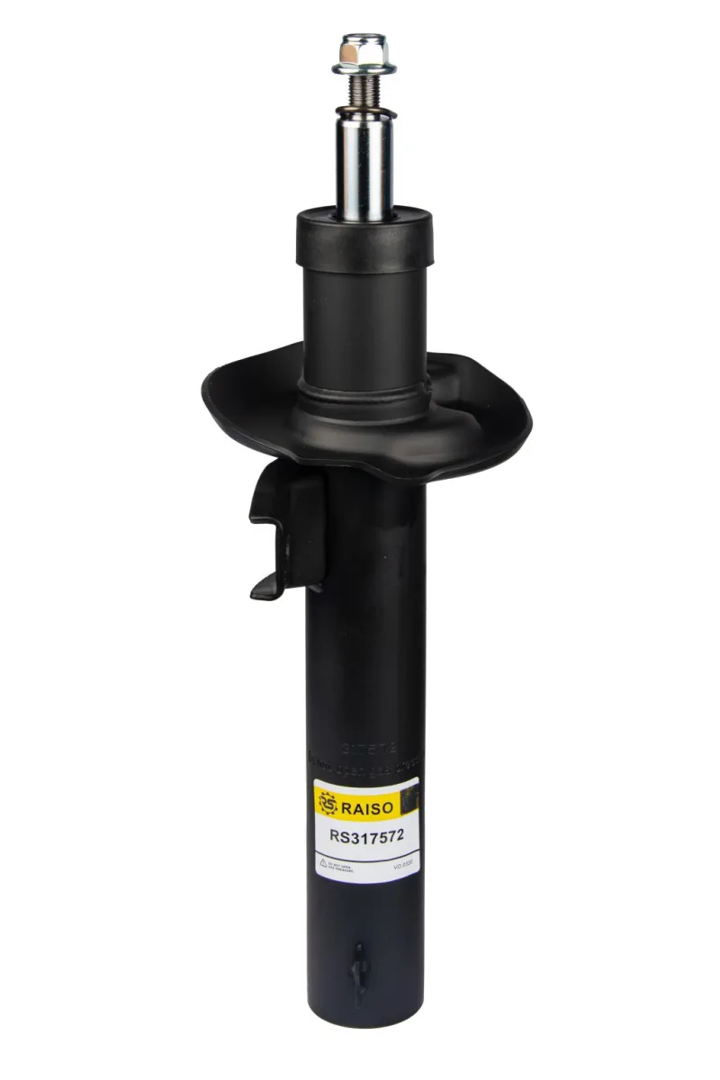 Амортизатор BILSTEIN - B4 Serienersatz Raiso RS317572 — фото 2