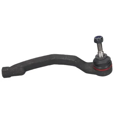 Наконечник рульової тяги правий Raiso — Renault Clio, Renault Grand Scenic, Renault Megane та ін. RL770796R