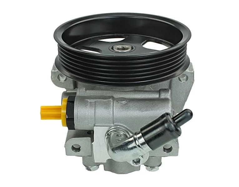 Насос ГУР (120mm; 6PK) Raiso — Ford Transit, Ford Tourneo RG0133