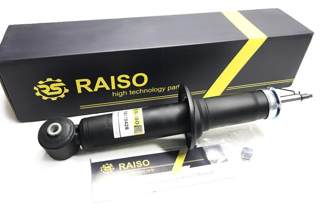 Амортизатор задній Raiso — Audi 100 RS170428