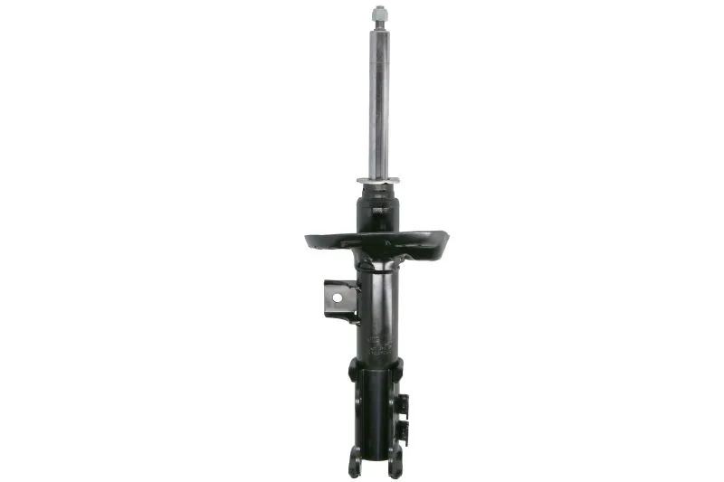 Амортизатор передний левый Raiso — Hyundai Sonata ST601546