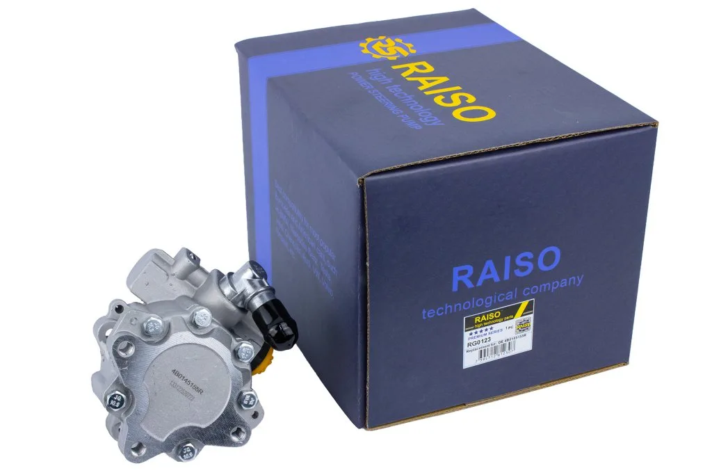 Насос Raiso RG0123