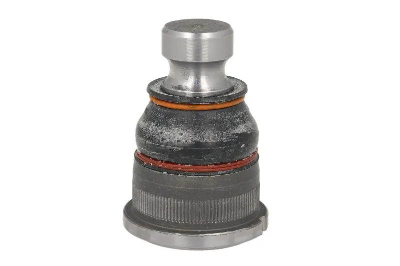 Кульова опора передня Raiso — Nissan Interstar, Opel Movano, Renault Master RL770154R