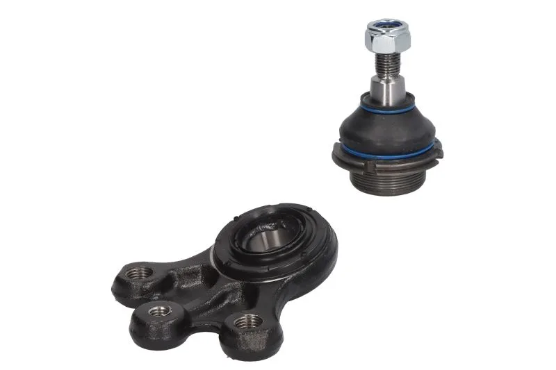 Комплект кульової опори передній Raiso — Citroen C5, Citroen C6, Peugeot 407 та ін. RL364070KIT