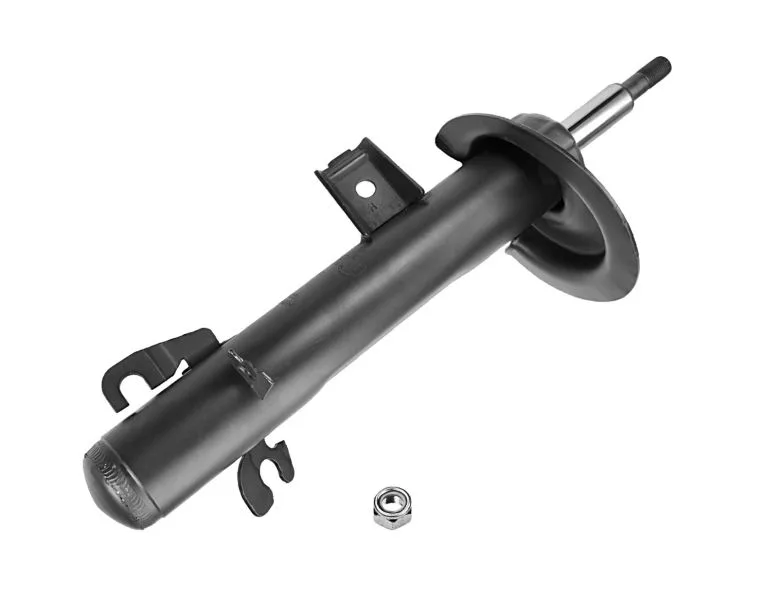 Амортизатор передній лівий Raiso — Mini R50, Mini R52, Mini R53 RS290237