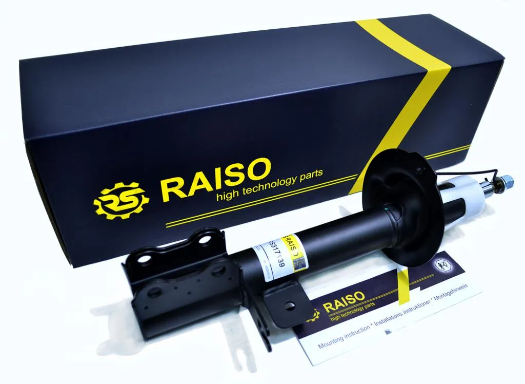 Амортизатор TOP ROAD GAS Raiso RS317139 — фото 4