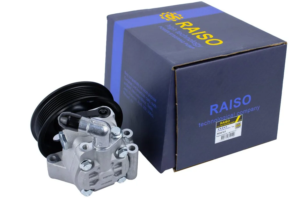 Насос Raiso RG0121