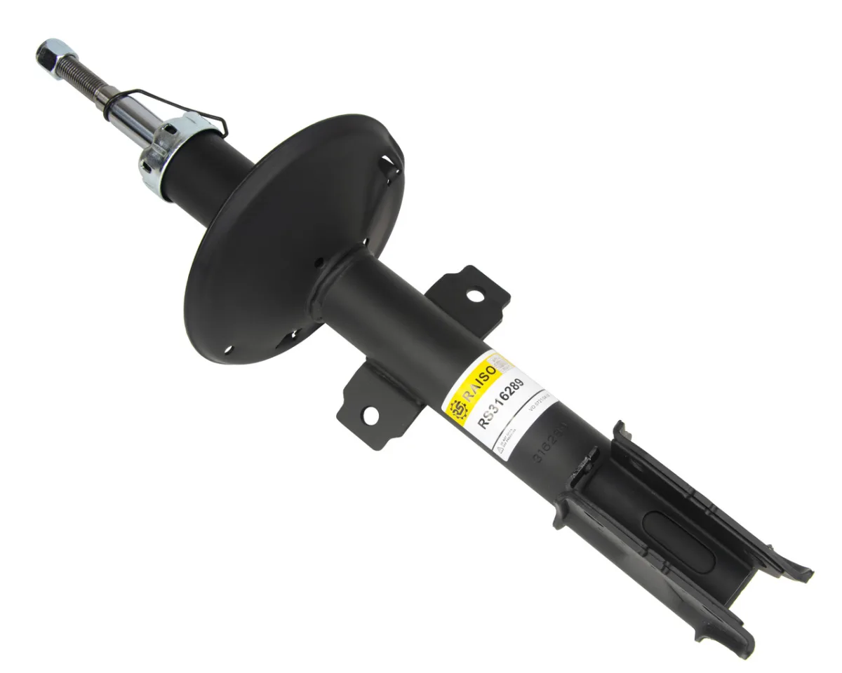 Амортизатор передній Raiso — Renault Duster RS316289