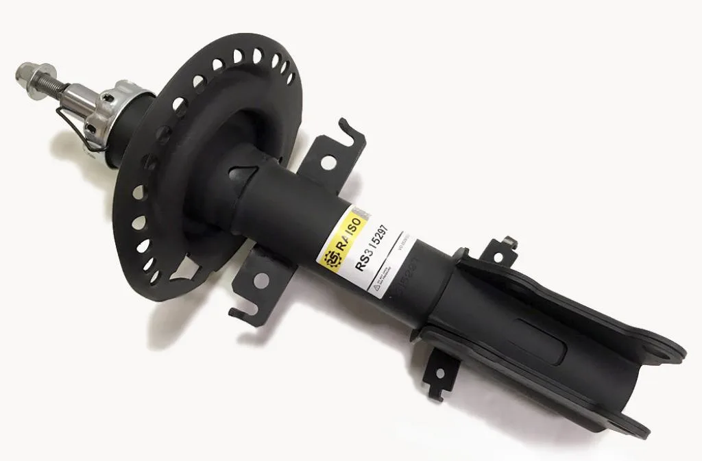 Амортизатор передній Raiso — Renault Kangoo, Mercedes-Benz RS315297